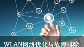 石頭哥Tekla插件 高效輔助建模與工具條功能全解析